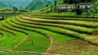 农村自留地纠纷，土地置换，但户主之一并不知情，如何从法律角度进行分析？