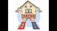 共有房产和共同共有房产事一个意思么？