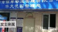 女子房产被邻居打通入住，目前事件调查进展如何？