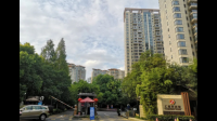 上海一业主急售房，推广单称成交奖励奥迪还送 3 台 iPhone，有人称常见，有人质疑，如何看待此事？