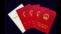 土地证未办好,能办理过户手续吗