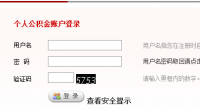 请问有谁知道吉林住房公积金查询网站是多少啊？