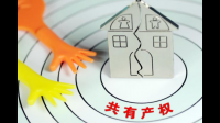 共有产权保障房是什么意思